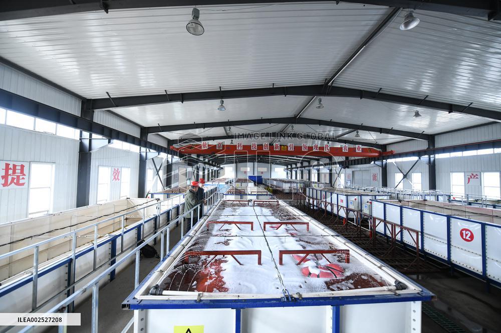 CHINA-HEILONGJIANG-PADDY RICE SOWING (CN)