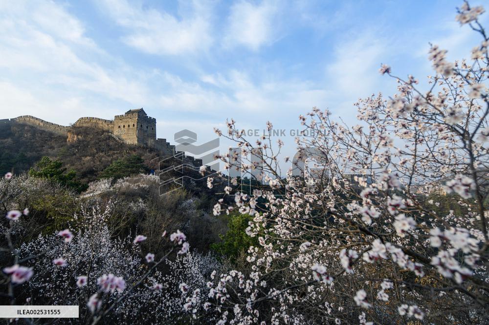 #CHINA-HEBEI-LUANPING-GREAT WALL (CN)