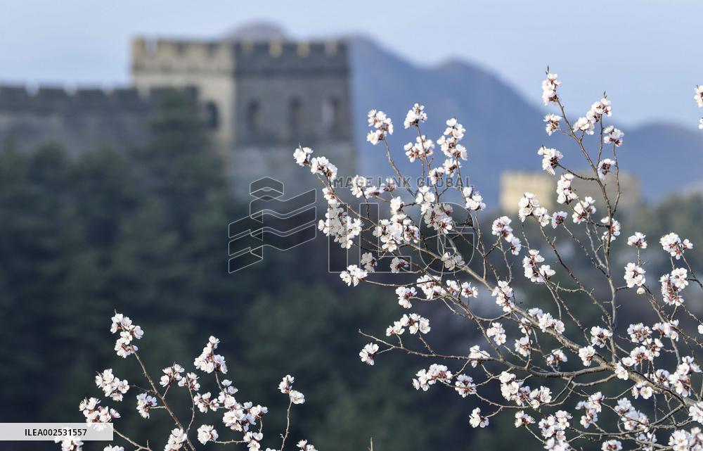 #CHINA-HEBEI-LUANPING-GREAT WALL (CN)