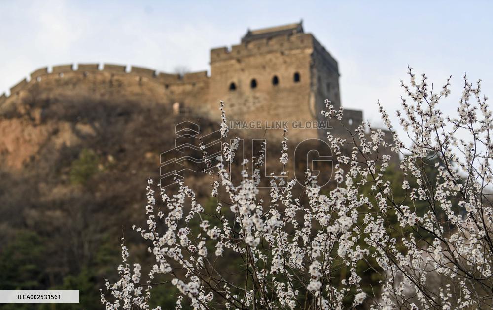 #CHINA-HEBEI-LUANPING-GREAT WALL (CN)