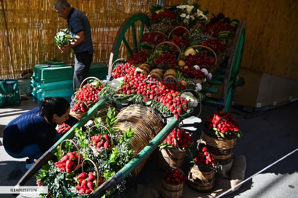 MALTA-MGARR-STRAWBERRY FESTIVAL
