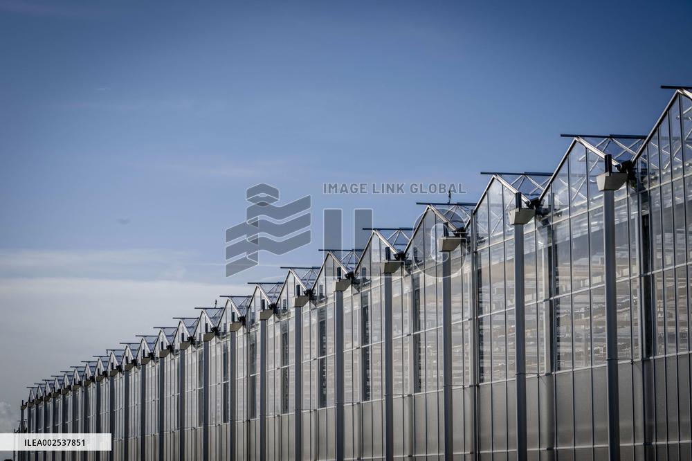 Greenhouses - Netherlands