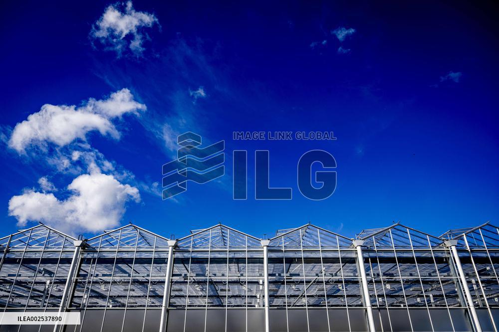 Greenhouses - Netherlands
