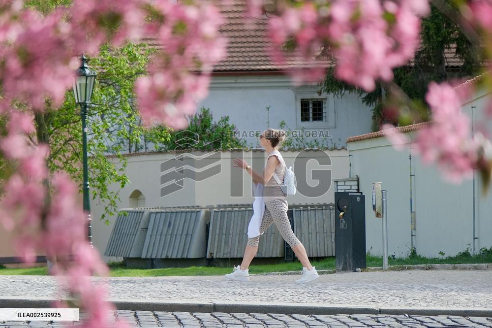 CZECH REPUBLIC-PRAGUE-SPRING SCENERY