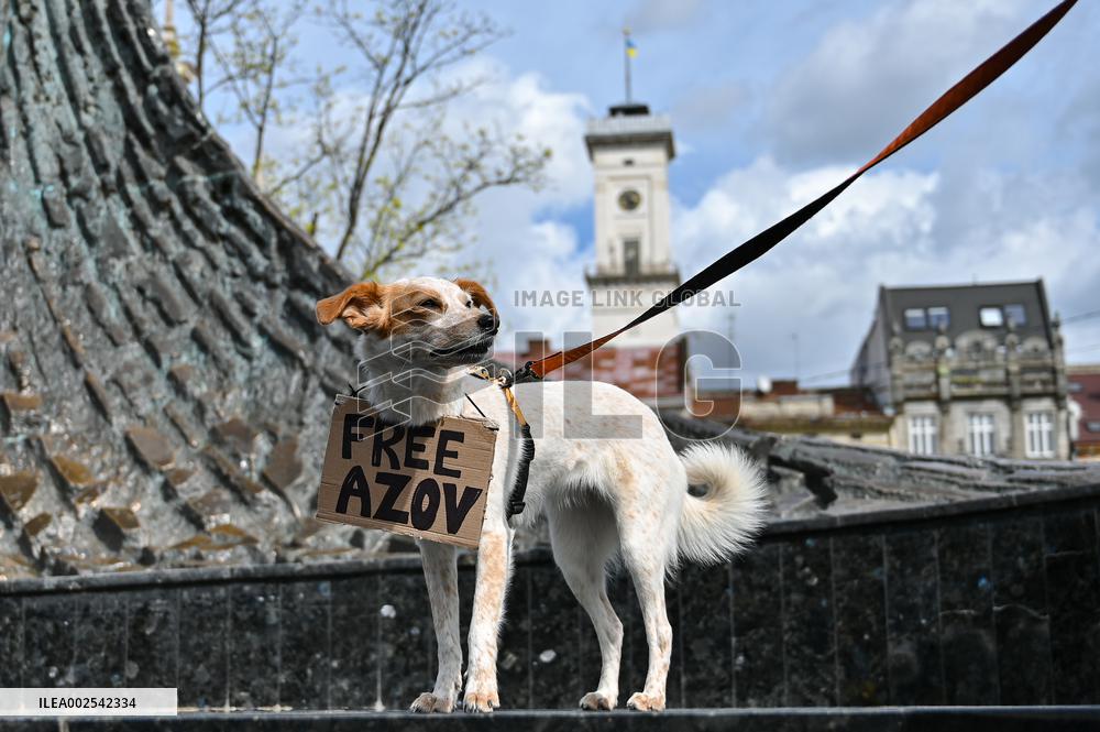 Dont Be Silent! Captivity Kills! rally in Lviv