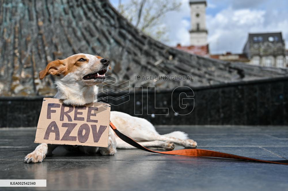 Dont Be Silent! Captivity Kills! rally in Lviv