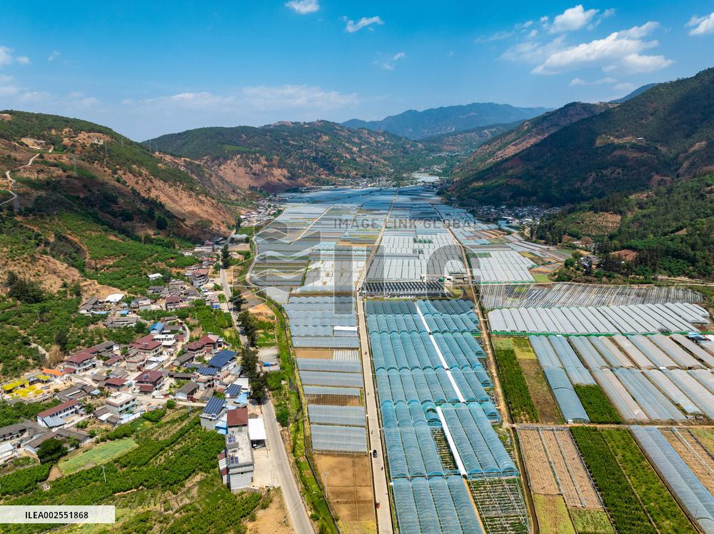 CHINA-SICHUAN-PANZHIHUA-MODERN AGRICULTURE (CN)