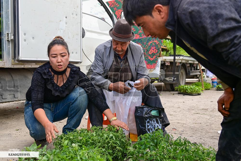 CHINA-XINJIANG-AKSU-FACILITY AGRICULTURE (CN)