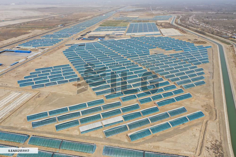 CHINA-XINJIANG-AKSU-FACILITY AGRICULTURE (CN)