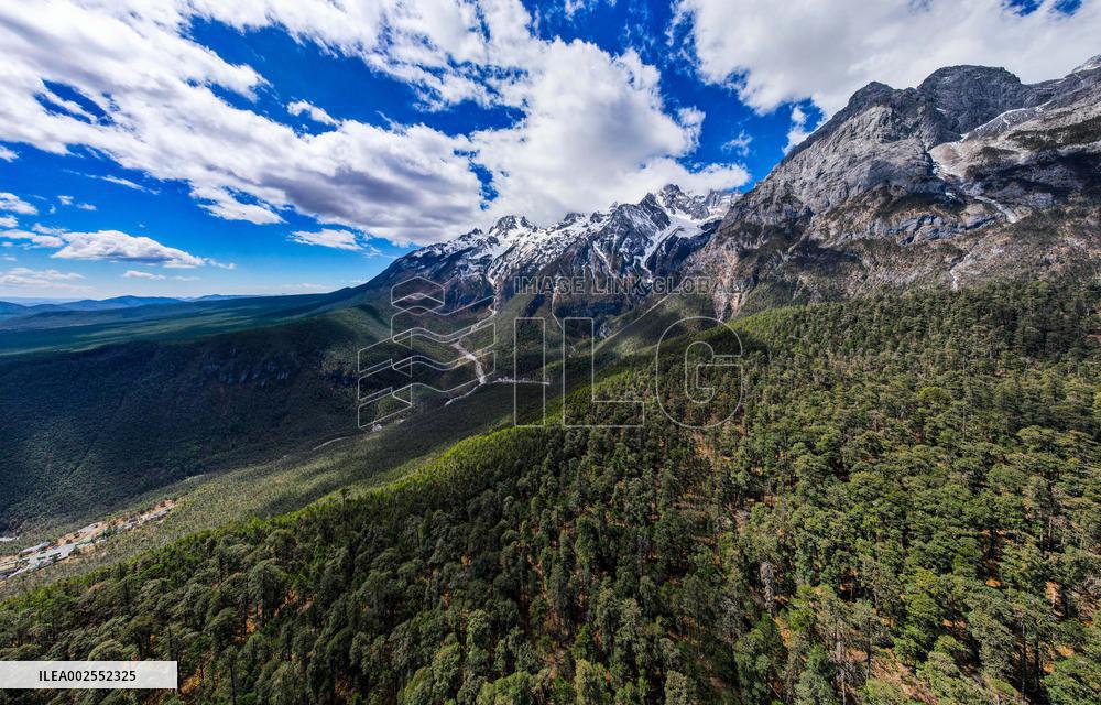 CHINA-YUNNAN-LIJIANG-BOTANIC GARDEN-RESEARCH (CN)