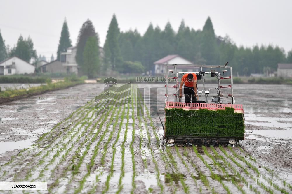XINHUA PHOTOS OF THE DAY
