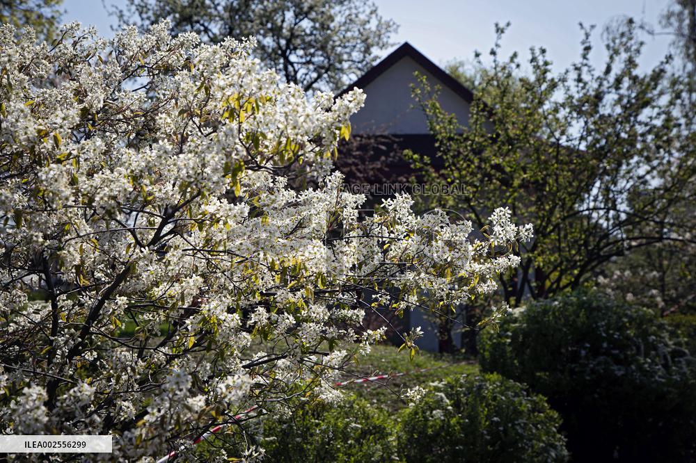 Kyoto Park in Kyiv