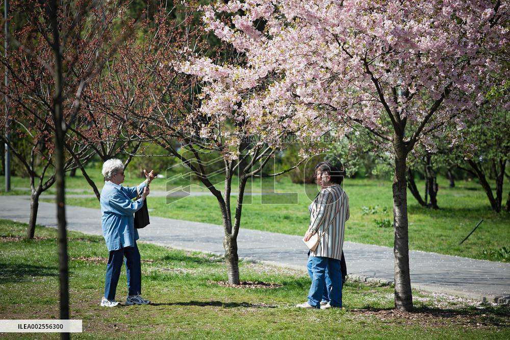 Kyoto Park in Kyiv