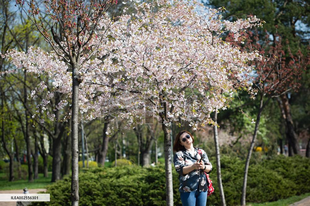 Kyoto Park in Kyiv