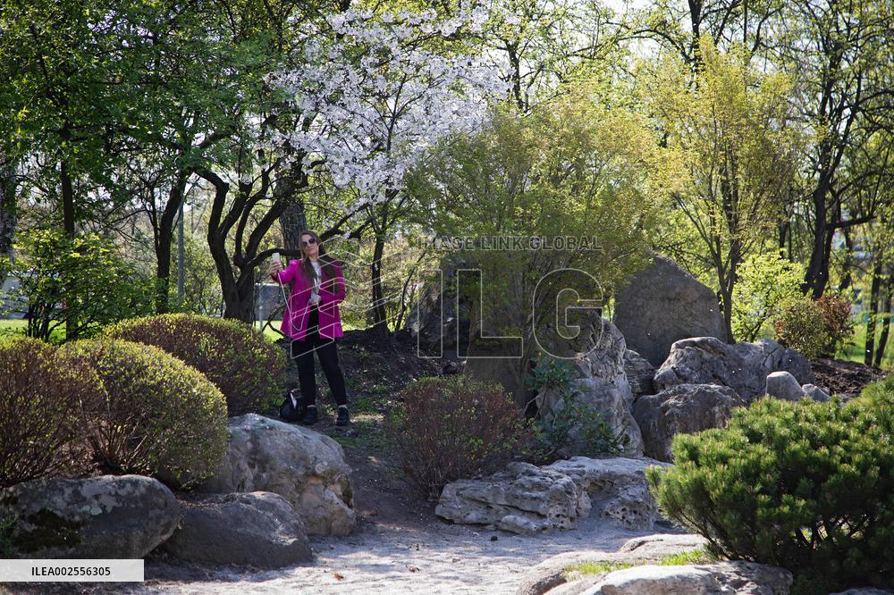 Kyoto Park in Kyiv