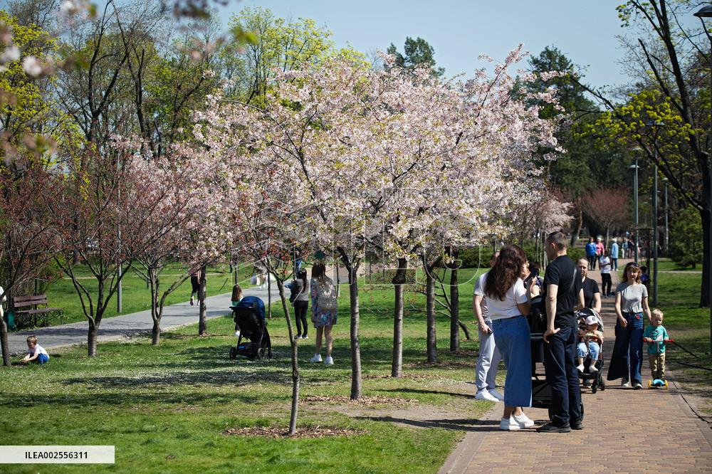 Kyoto Park in Kyiv