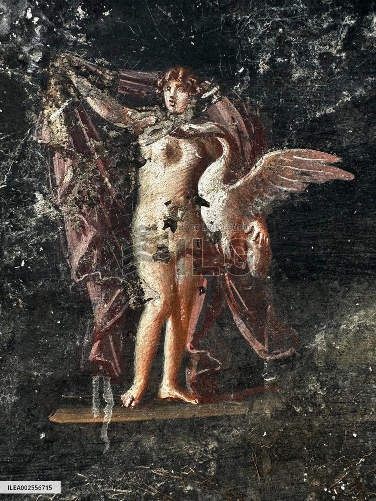 Spectacular Room Decorated With Trojan War Characters Discovered In Pompeii