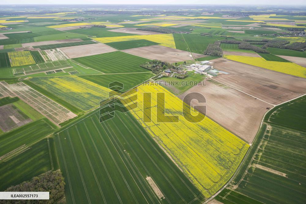 Normandy Landscape Illustration
