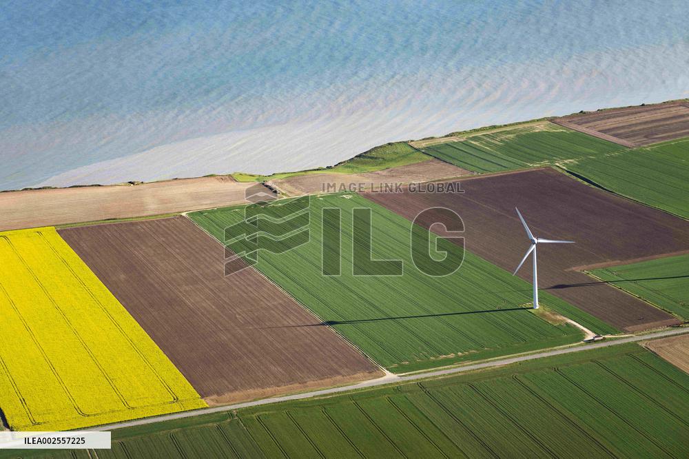 Normandy Landscape Illustration