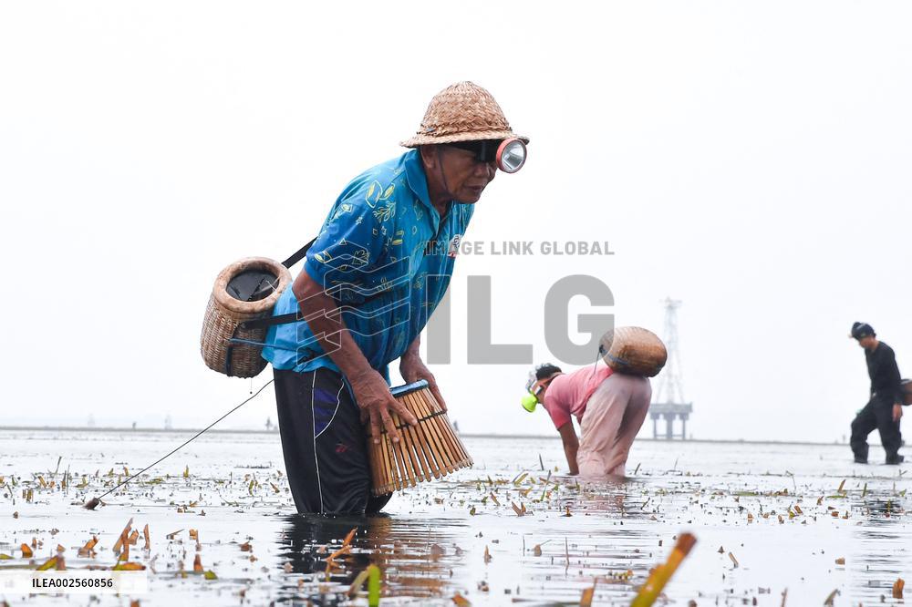 Traditional Balinese Fishermen - Bali