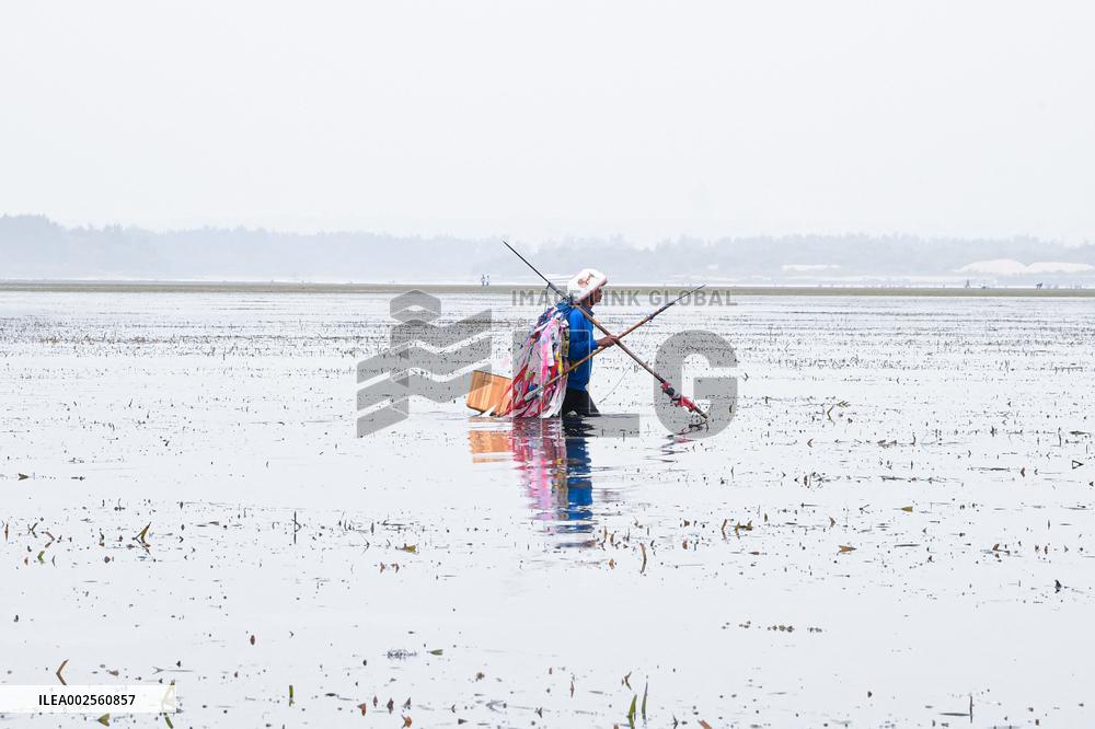 Traditional Balinese Fishermen - Bali