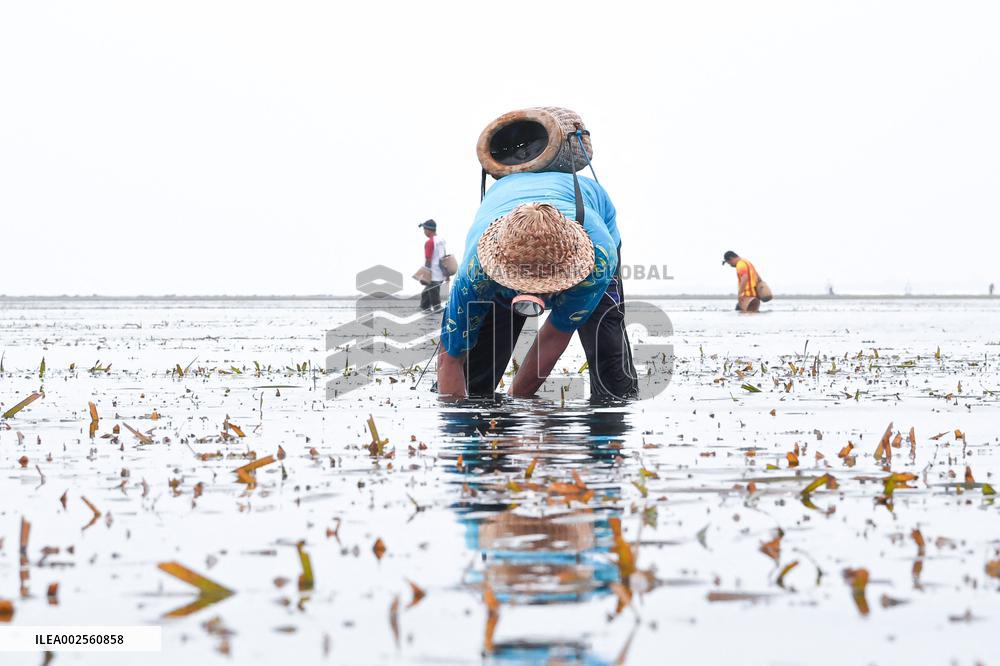 Traditional Balinese Fishermen - Bali