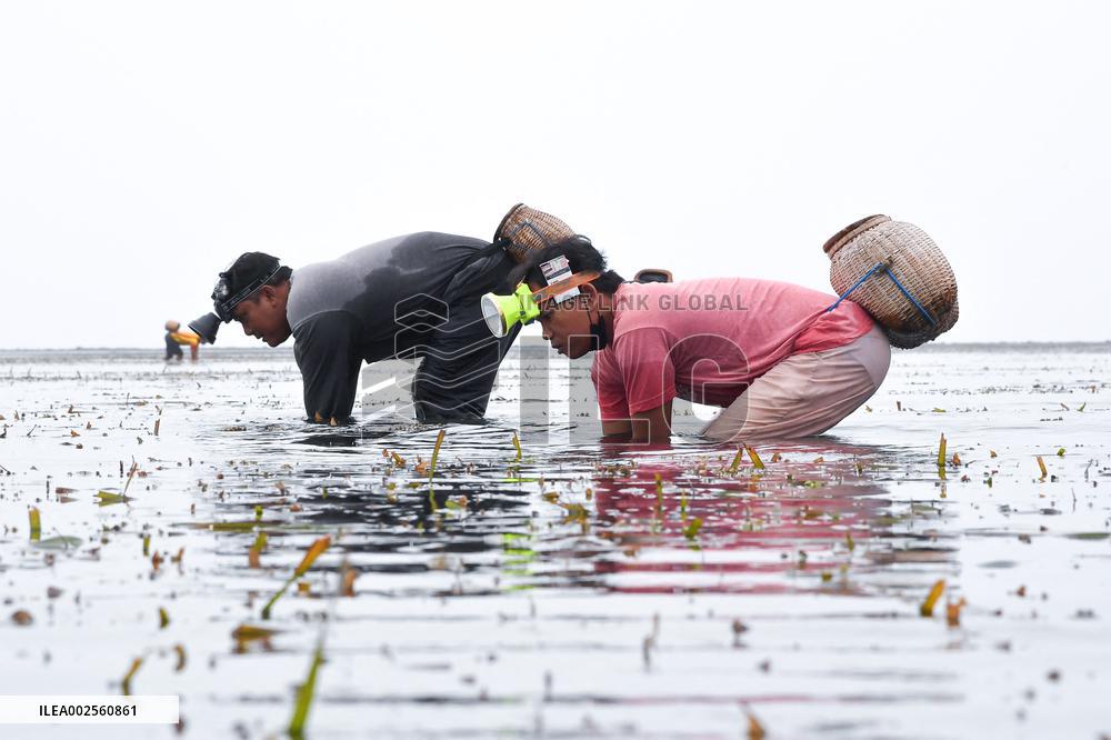 Traditional Balinese Fishermen - Bali