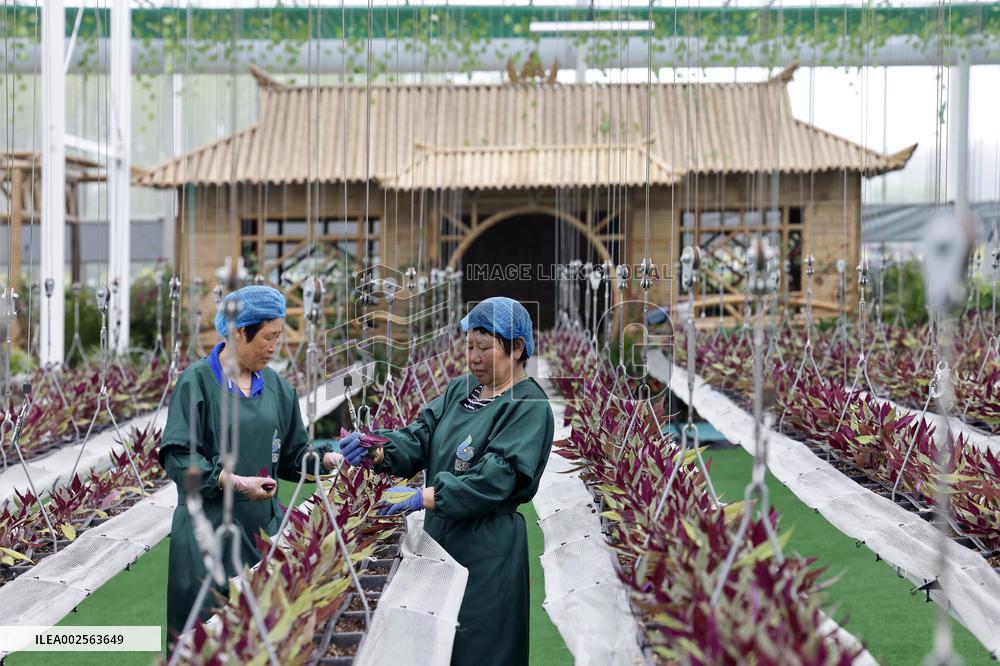 Qinhu Smart Agricultural Park digital factory in Taizhou