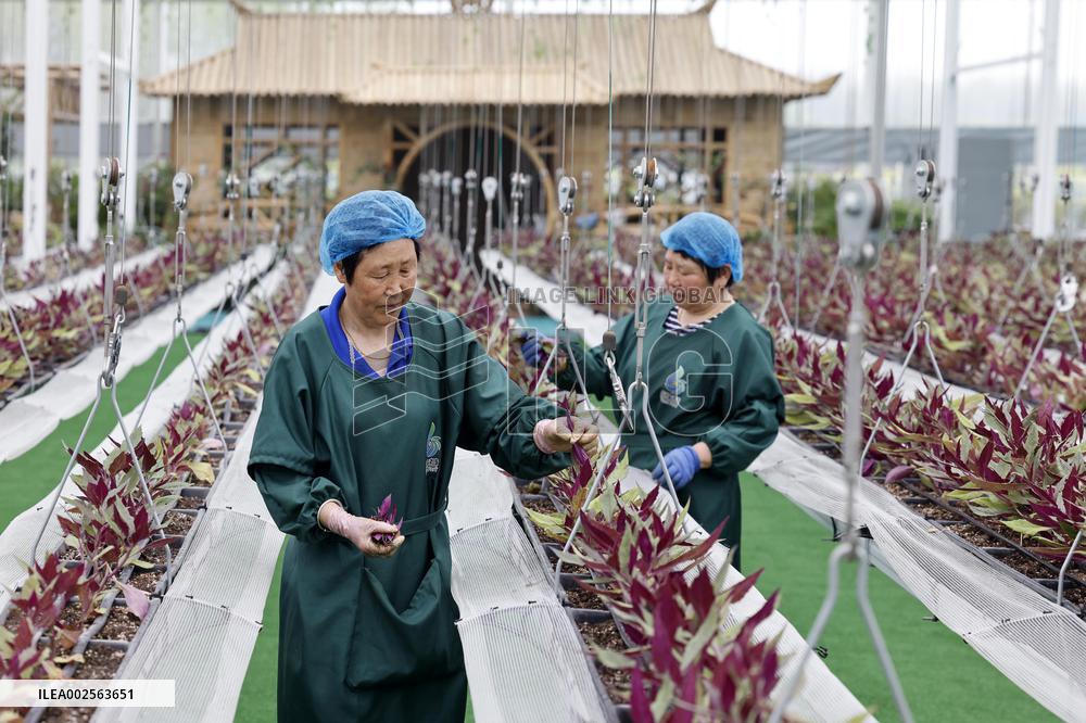 Qinhu Smart Agricultural Park digital factory in Taizhou