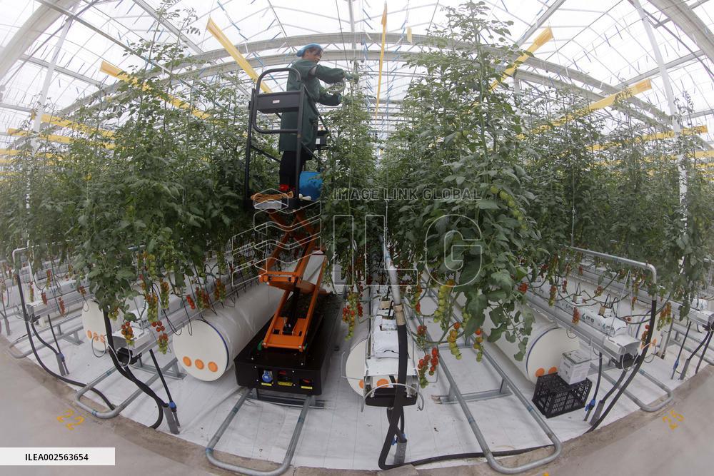 Qinhu Smart Agricultural Park digital factory in Taizhou