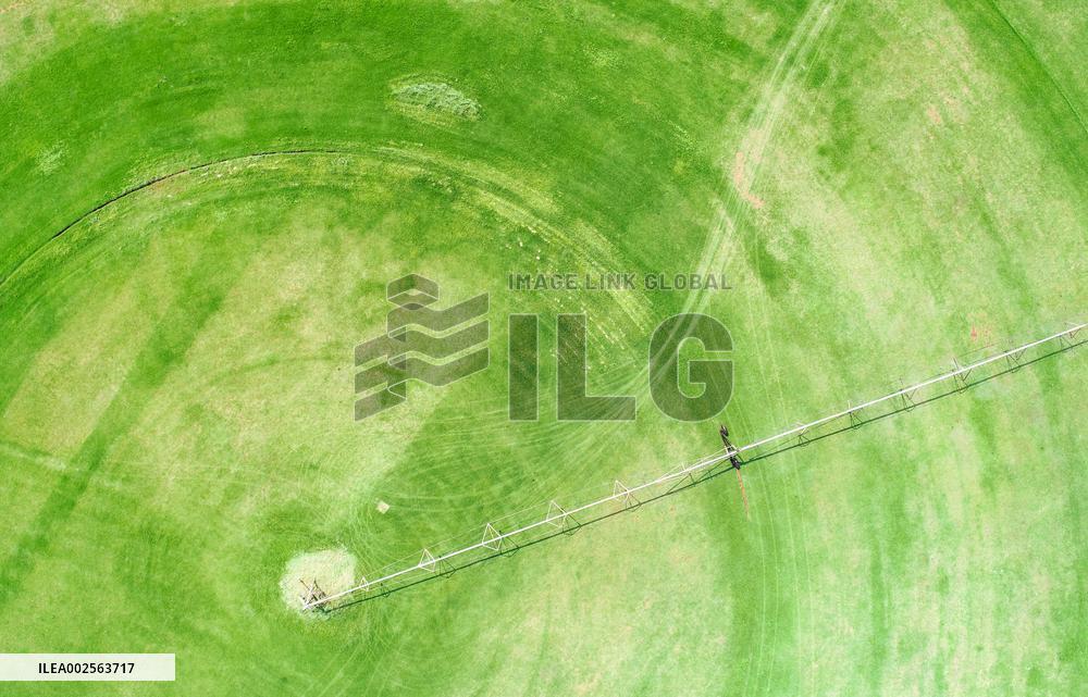 SOUTH AFRICA-JOHANNESBURG-CIRCULAR FIELD