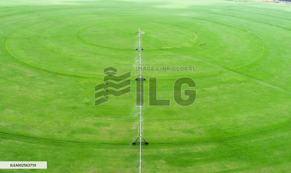 SOUTH AFRICA-JOHANNESBURG-CIRCULAR FIELD