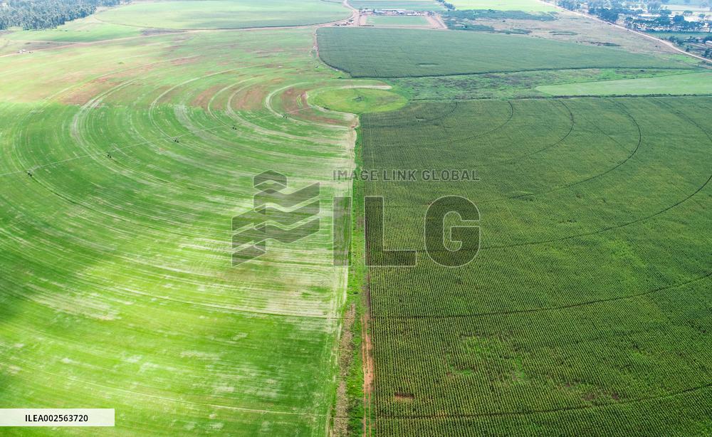 SOUTH AFRICA-JOHANNESBURG-CIRCULAR FIELD
