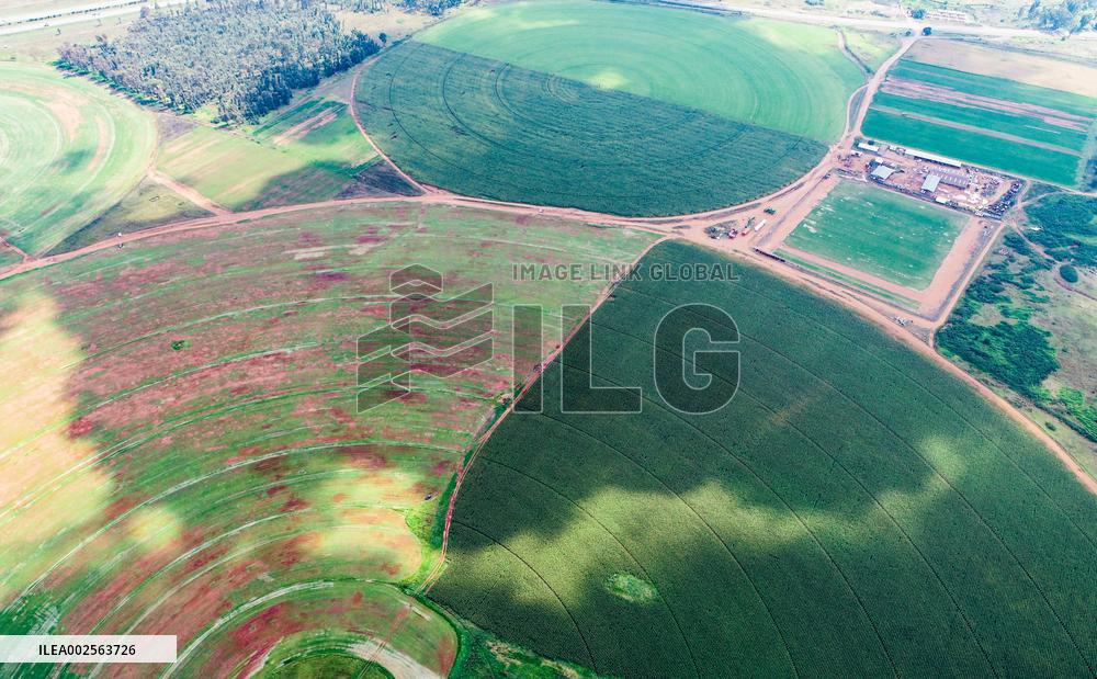 SOUTH AFRICA-JOHANNESBURG-CIRCULAR FIELD