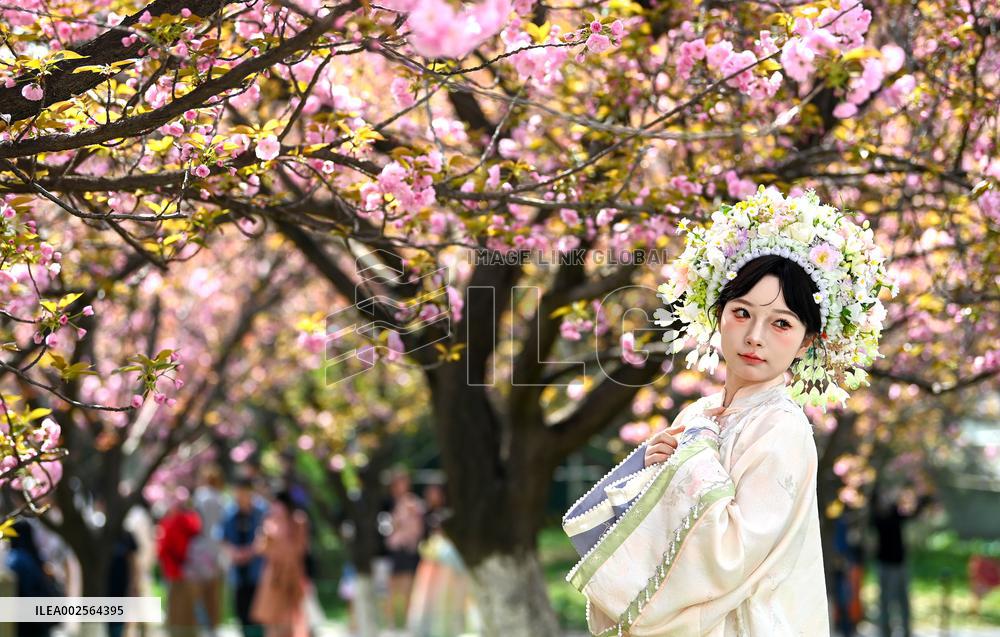 CHINA-SHAANXI-XI'AN-SPRING-TOURISM (CN)