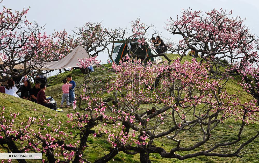 CHINA-SHAANXI-XI'AN-SPRING-TOURISM (CN)