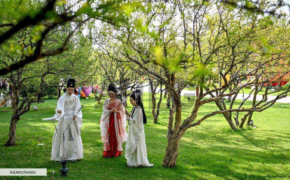 CHINA-SHAANXI-XI'AN-SPRING-TOURISM (CN)