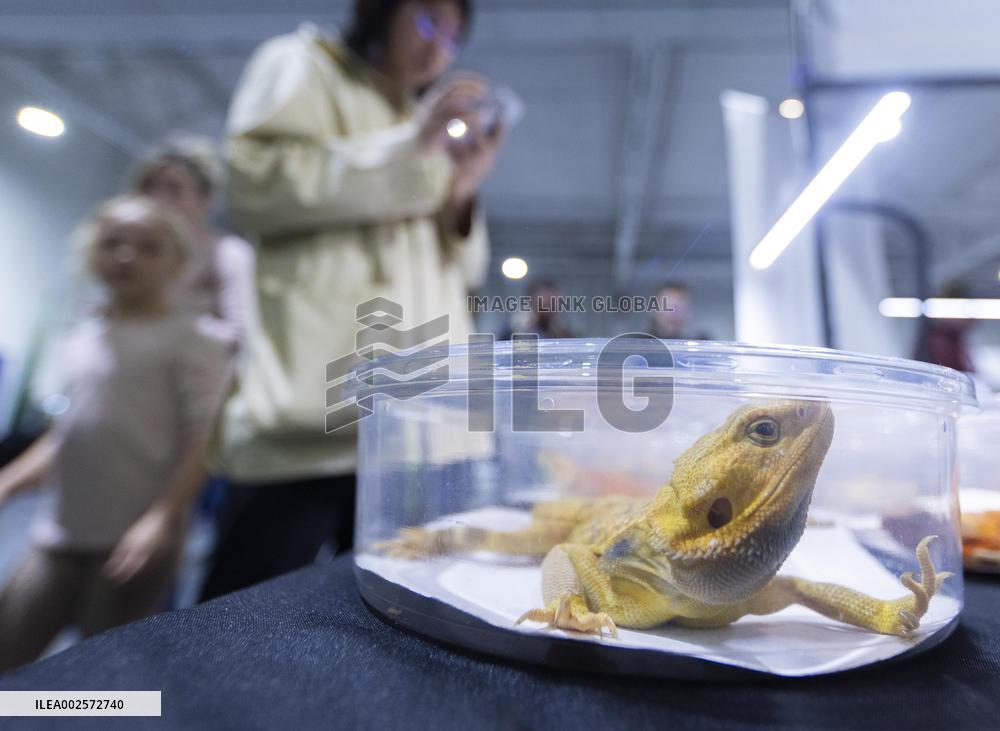 CANADA-MISSISSAUGA-REPTILE & PLANT EXPO