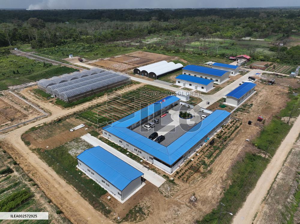SURINAME-SARAMACCA-CHINESE AGRICULTURAL AID