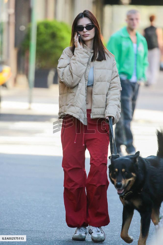 Emily Ratajkowski Walks Her Dog - NYC