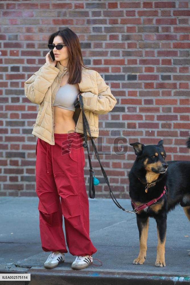 Emily Ratajkowski Walks Her Dog - NYC