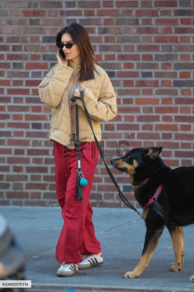 Emily Ratajkowski Walks Her Dog - NYC