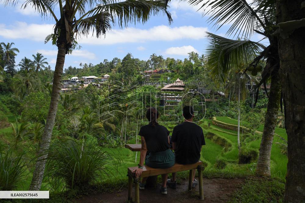 Illustrations of Bali