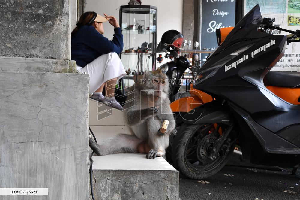 Illustrations of Bali