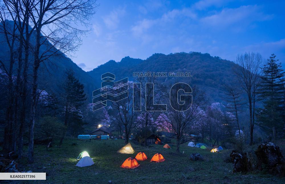 (SichuanMosaics)CHINA-SICHUAN-JIANGYOU-MAGNOLIA FLOWERS(CN)