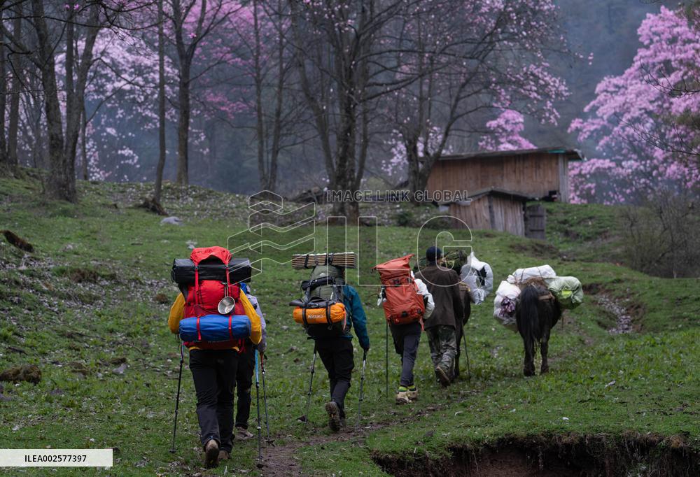 (SichuanMosaics)CHINA-SICHUAN-JIANGYOU-MAGNOLIA FLOWERS(CN)