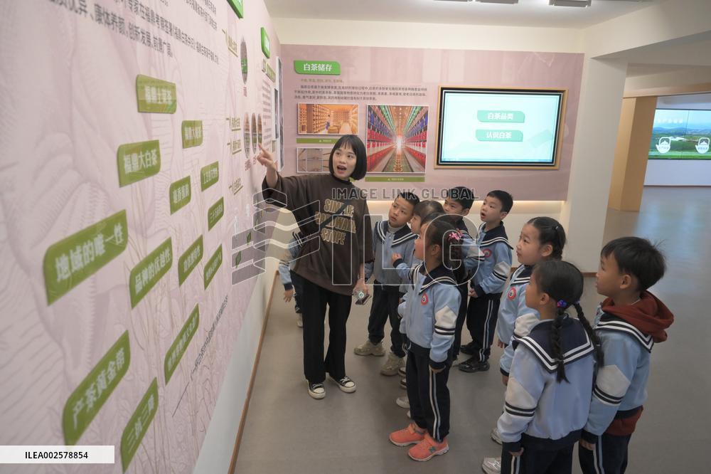(FujianPano) CHINA-FUJIAN-TEA CULTURE (CN)