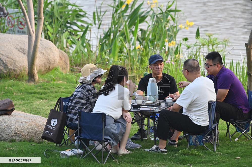 (FujianPano) CHINA-FUJIAN-TEA CULTURE (CN)