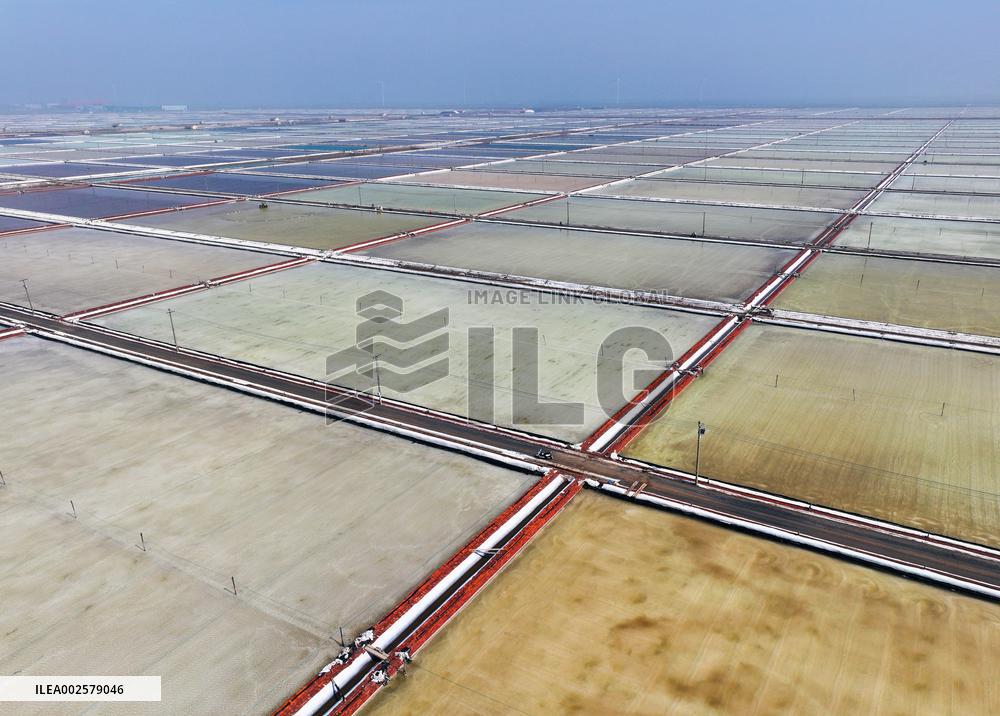 Workers Raze Salt in The Guanxi Salt Field in Lianyungang
