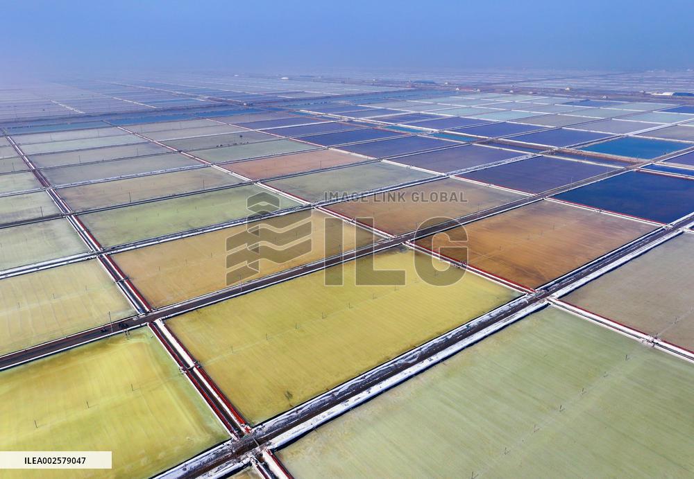 Workers Raze Salt in The Guanxi Salt Field in Lianyungang